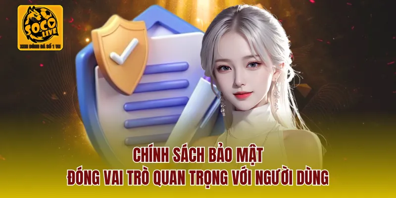Chính sách bảo mật đóng vai trò quan trọng với người dùng