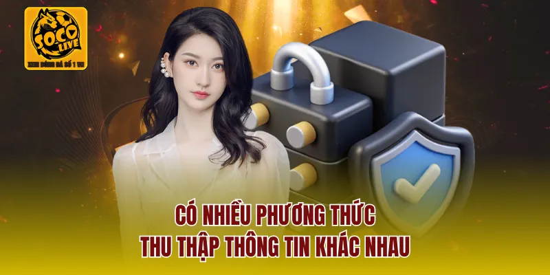 Có nhiều phương thức thu thập thông tin khác nhau